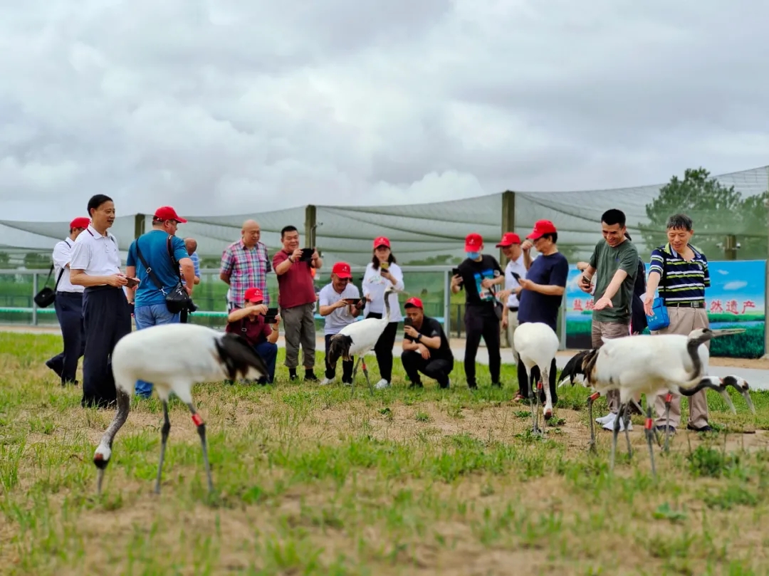 1625644507103865.jpg 640.webp (6).jpg